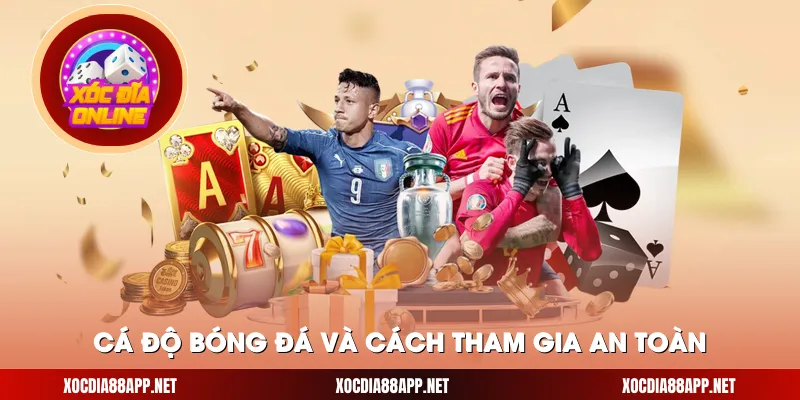 Cá độ bóng đá và cách tham gia an toàn
