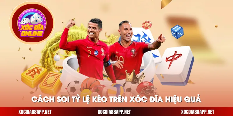 Cách soi tỷ lệ kèo trên xóc đĩa hiệu quả