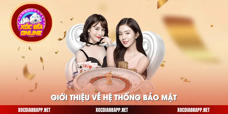 Giới thiệu về hệ thống bảo mật
