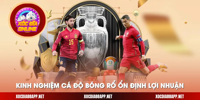 kinh nghiệm cá độ bóng rổ ổn định lợi nhuận