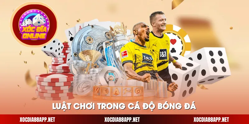 Luật chơi trong cá độ bóng đá