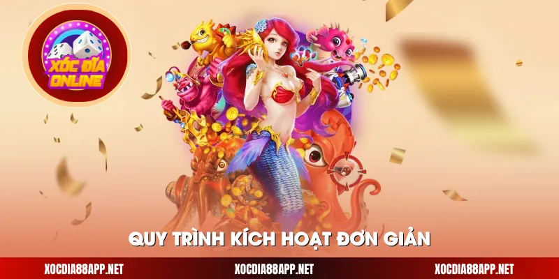 Quy trình kích hoạt đơn giản
