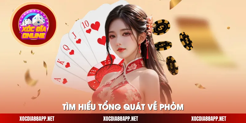 Tìm hiểu tổng quát về phỏm