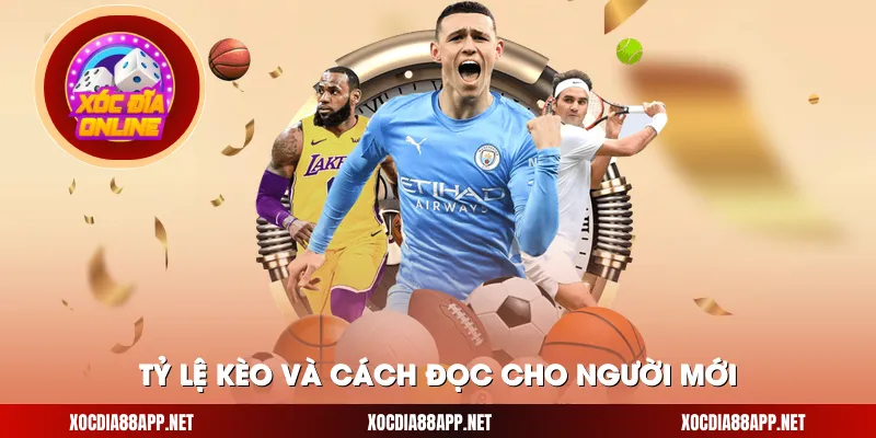 Tỷ lệ kèo và cách đọc cho người mới